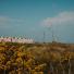 Braye Beach